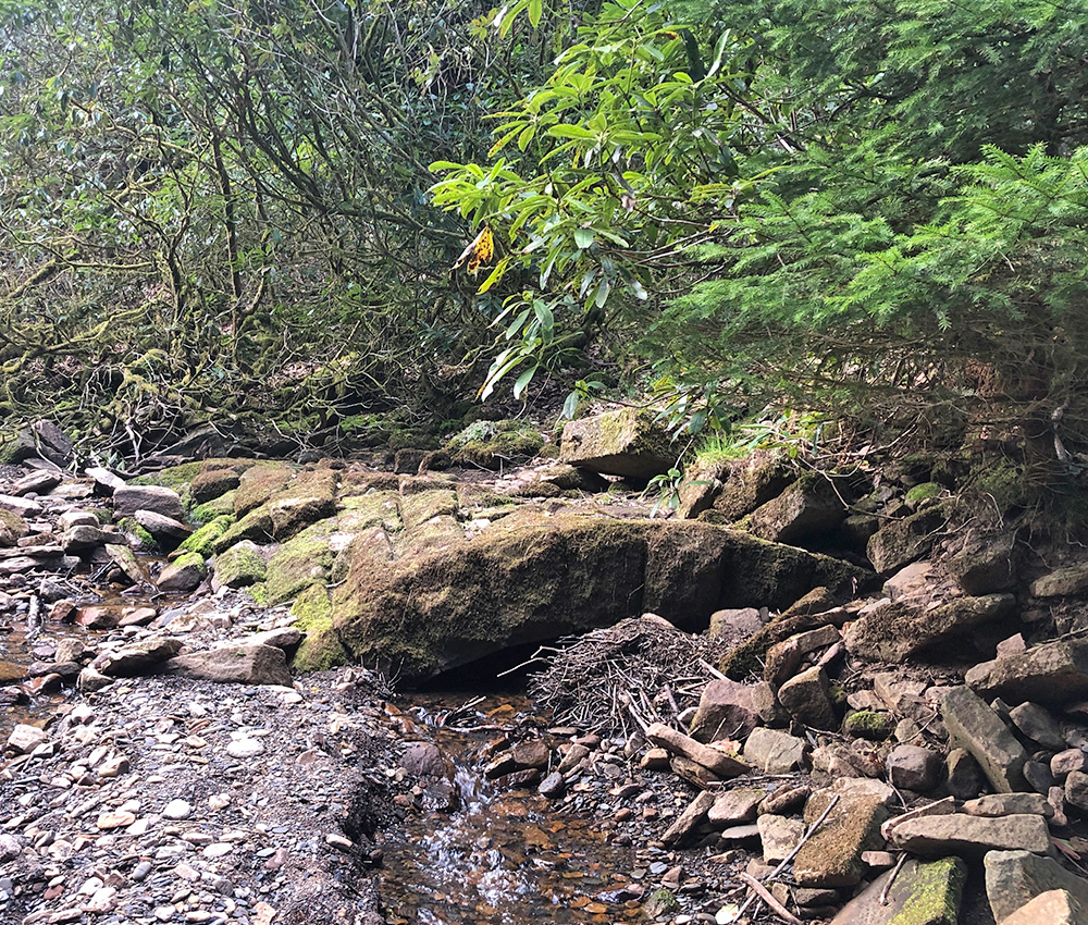 errwood-lane-bridge-1000px