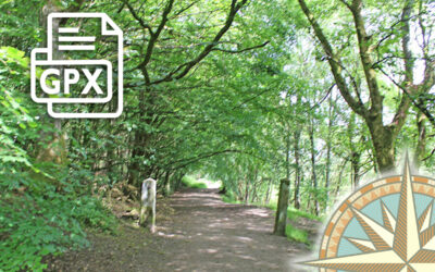 Fernilee Circular GPX