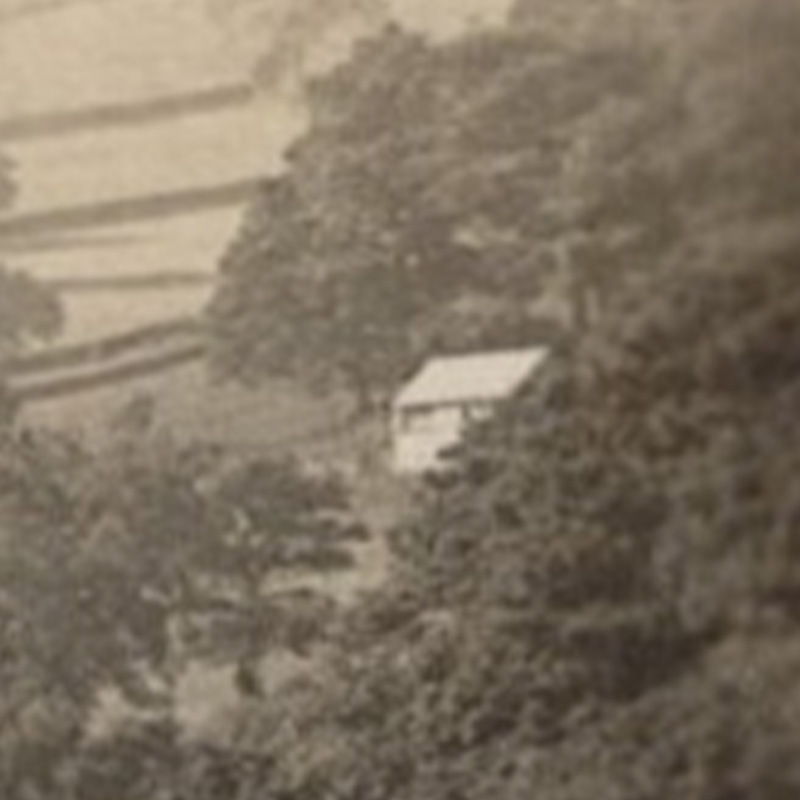 madscar-farm-from-ebay-card