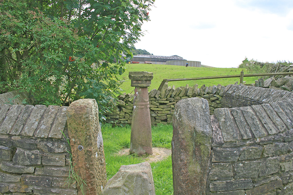 shallcross-cross