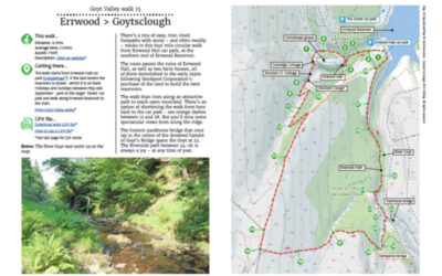 15. Errwood > Goytsclough