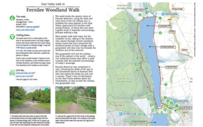 16. Fernilee Woodland Walk