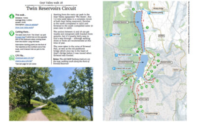 28. Twin Reservoirs Circuit