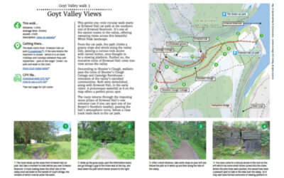 3. Valley Views