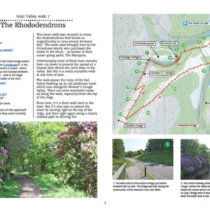 7. The Rhododendrons
