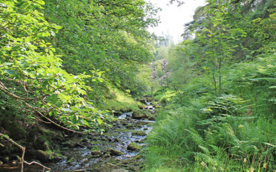 1: The Riverside Path