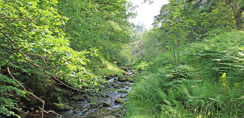 1: The Riverside Path