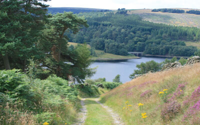10: Old Goyt’s Lane > Errwood