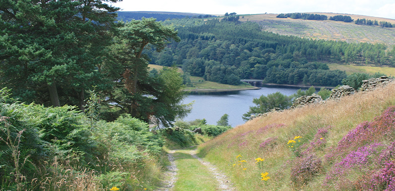 10: Old Goyt’s Lane > Errwood