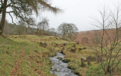 15: Errwood > Goytsclough