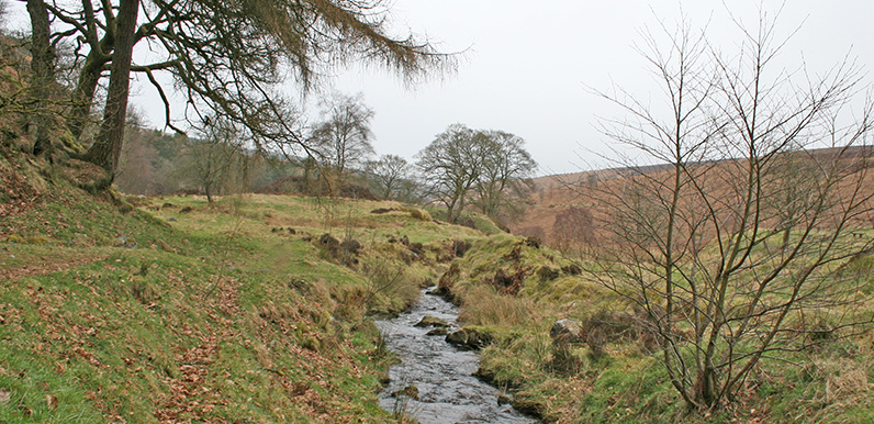 15: Errwood > Goytsclough