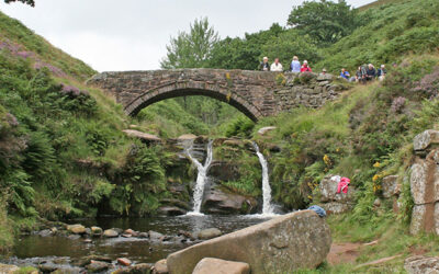 20: Three Shires Head