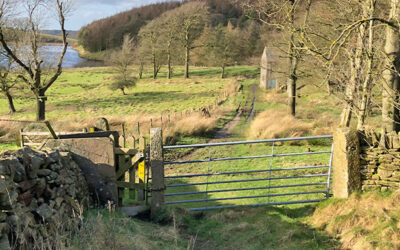 22: Rainow > Lamaload Res.