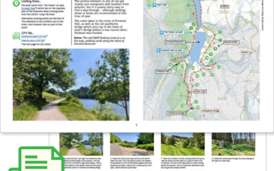 28. Twin Reservoirs Circuit