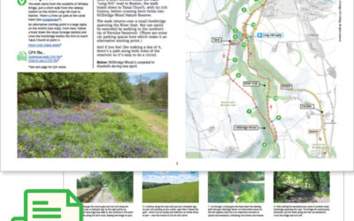 5. Whaley Bridge to Taxal