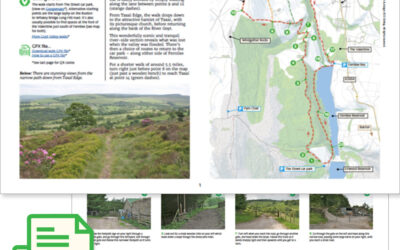 6. Taxal Edge