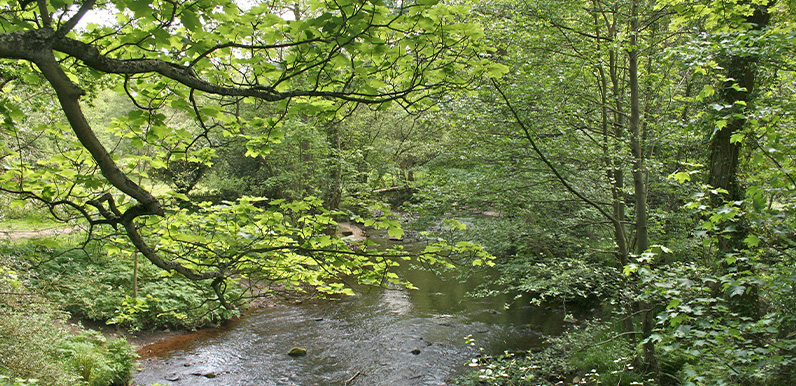 6: Taxal Edge