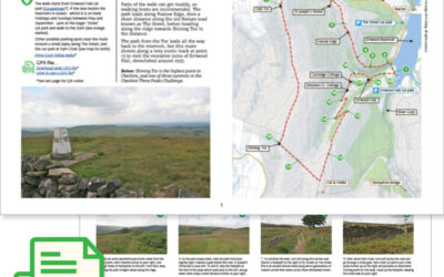 8. Errwood > Shining Tor