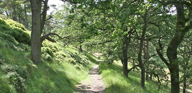 8: Errwood > Shining Tor