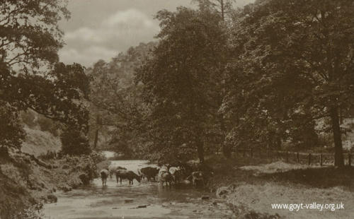 The Goyt at Taxal. c.1915