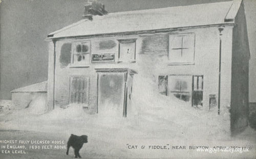 Cat & Fiddle. 1919