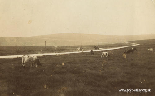 The road from the Cat & Fiddle. c.1900