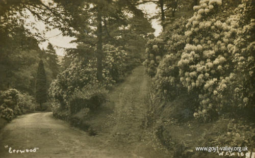 Errwood Hall Drive c.1925