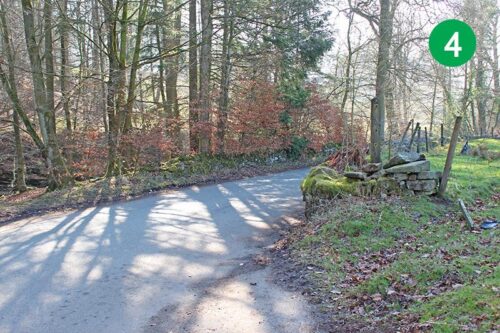 3-shires-head-stage-4