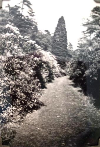 Errwood Hall grounds view c.1930