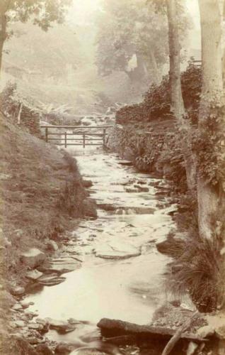 The Goyt near to Goyt's Bridge