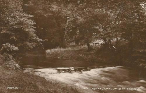 The Goyt near Taxal