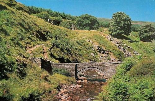 Packhorse bridge