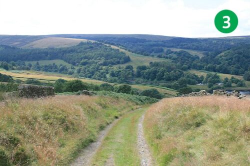goyt-valley-walk-10-stage-3-2