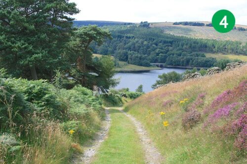 goyt-valley-walk-10-stage-4-2