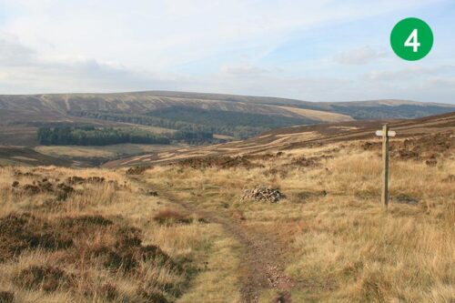 goyt-valley-walk-11-stage-4-2