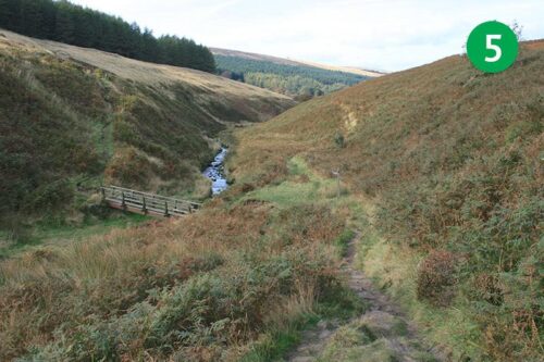 goyt-valley-walk-11-stage-5-2