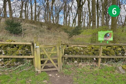 goyt-valley-walk-12-stage-6-new