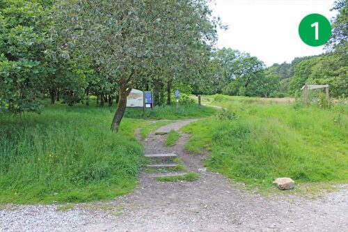 goyt-valley-walk-13-stage-1-new