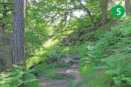 goyt-valley-walk-13-stage-5-new