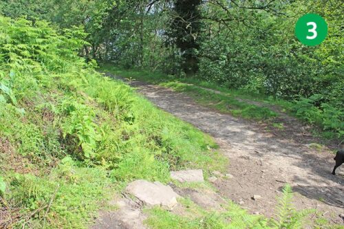 goyt-valley-walk-14-stage-3-new