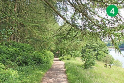 goyt-valley-walk-14-stage-4-new