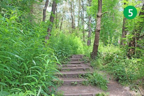 goyt-valley-walk-14-stage-5-new