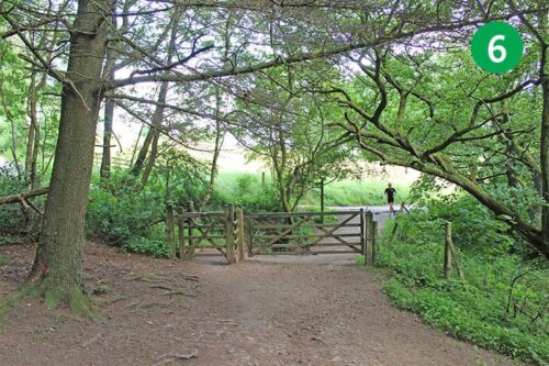 goyt-valley-walk-14-stage-6-new