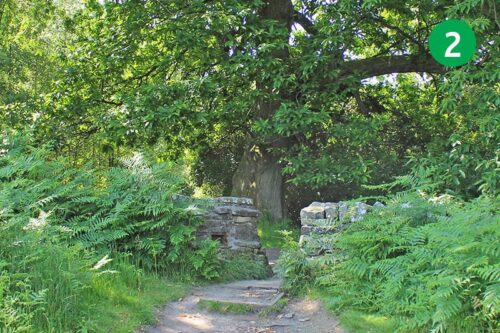 goyt-valley-walk-15-stage-2-new