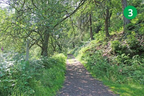 goyt-valley-walk-15-stage-3-new