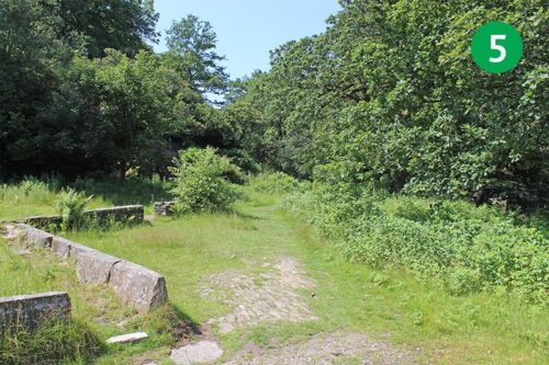 goyt-valley-walk-15-stage-5-new