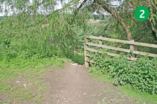 goyt-valley-walk-16-stage-2