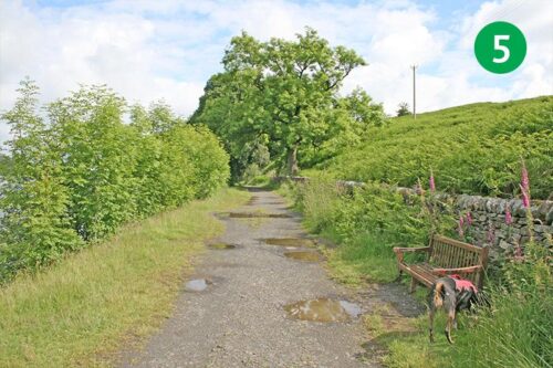 goyt-valley-walk-16-stage-5