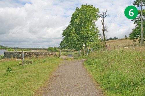 goyt-valley-walk-16-stage-6