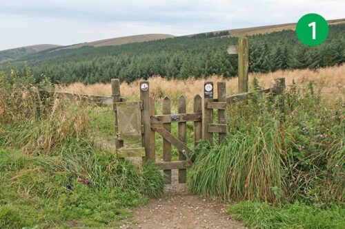 goyt-valley-walk-17-stage-1